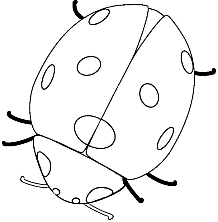 Ladybug Outline - Coloring Home