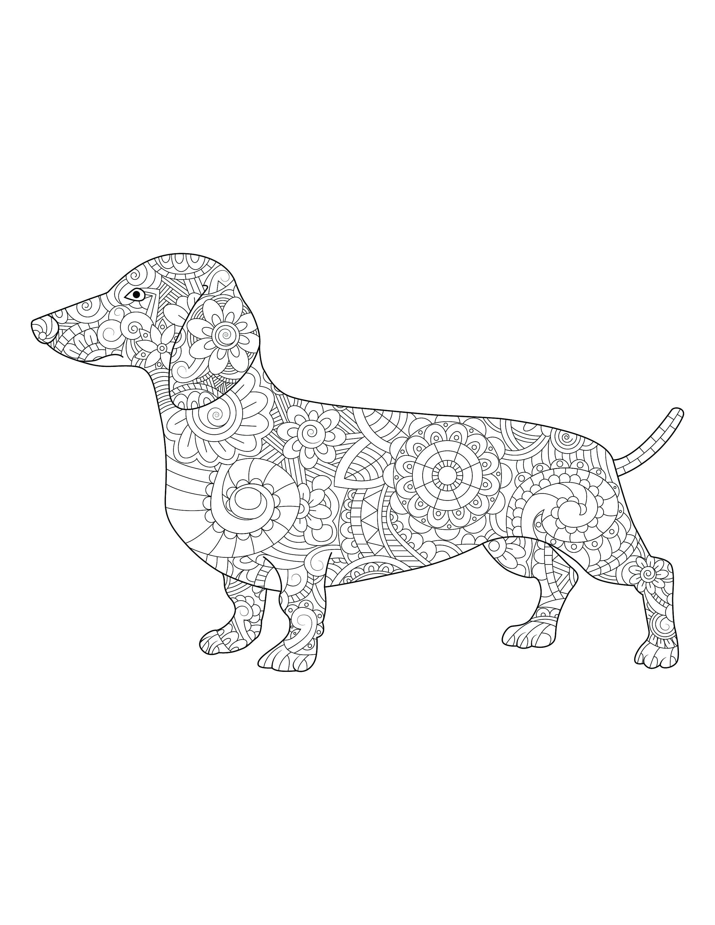 Dachshund Dog Coloring Page/ Zen Coloring/ Digital - Etsy
