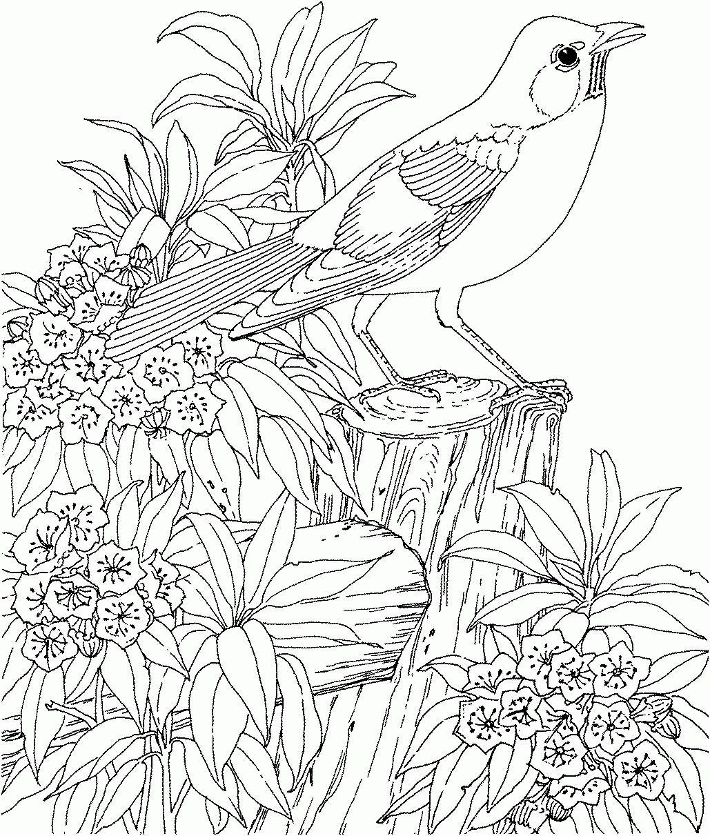 Coloring Pages For Adults Printable | Resume Format Download Pdf