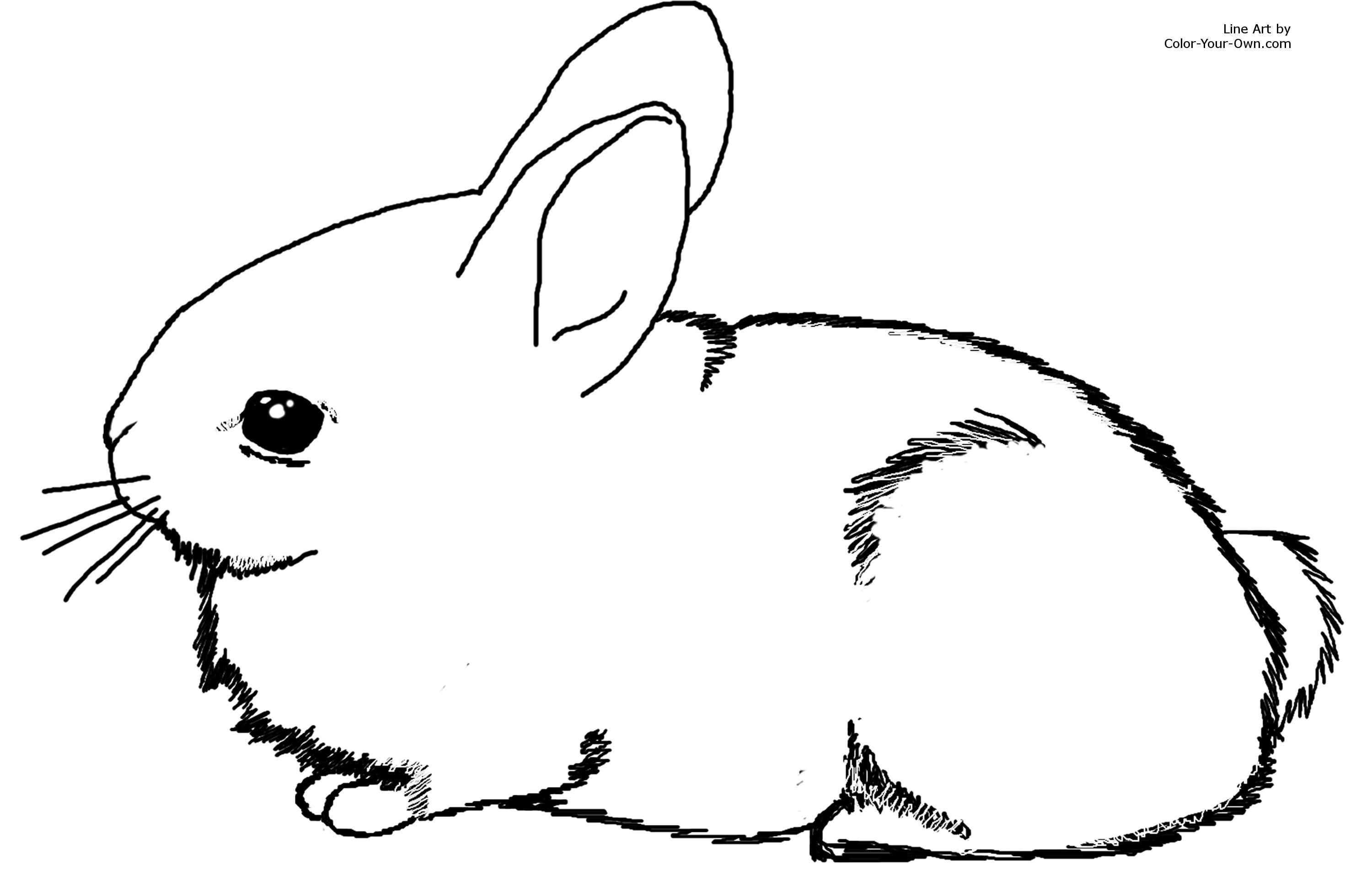 Cute Bunny Coloring Pages To Print Coloring Home