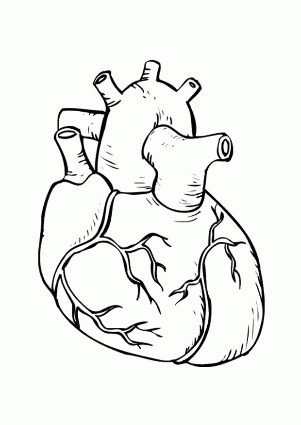 Real Heart Coloring Pages - Coloring Home