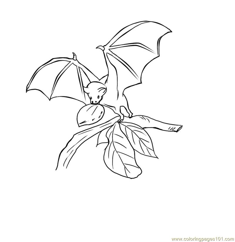 Bats on eating Coloring Page - Free Bat Coloring Pages :  ColoringPages101.com