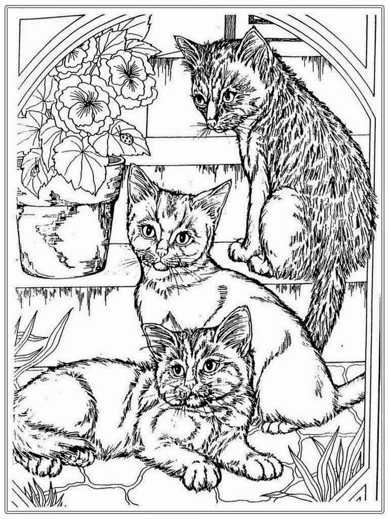 Cat Coloring Pages Free - Coloring Home