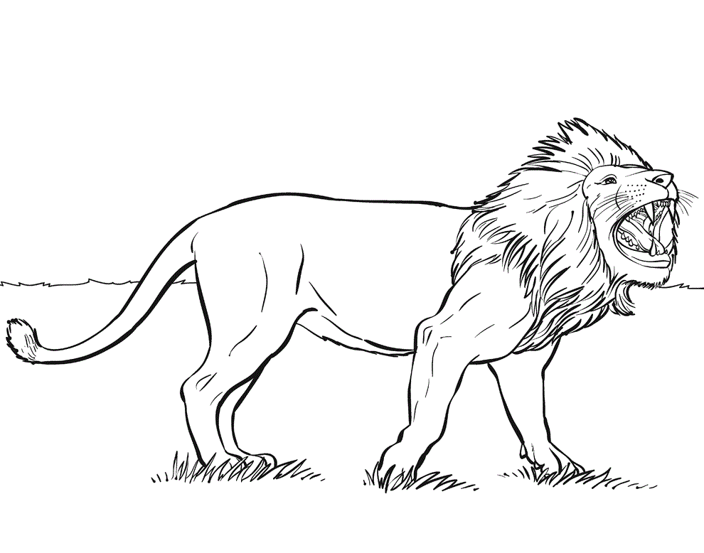 A LION WITH LITTLE LIONS COLORING PAGES Coloring Home