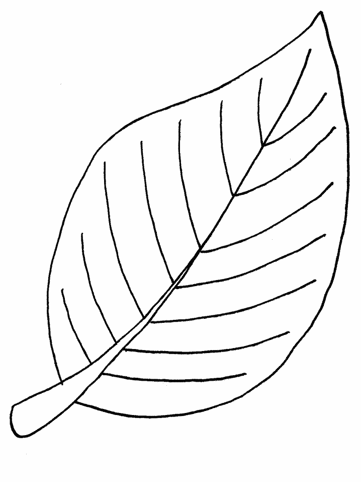 Leaf Coloring Pages To Print for Pinterest