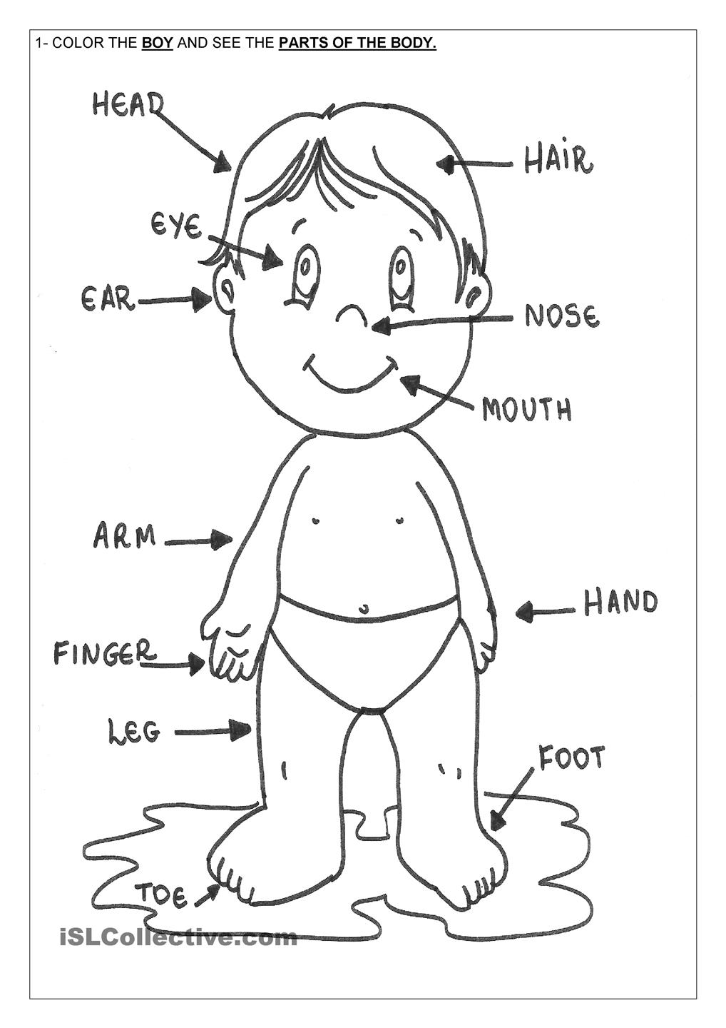 Preschool body parts coloring page