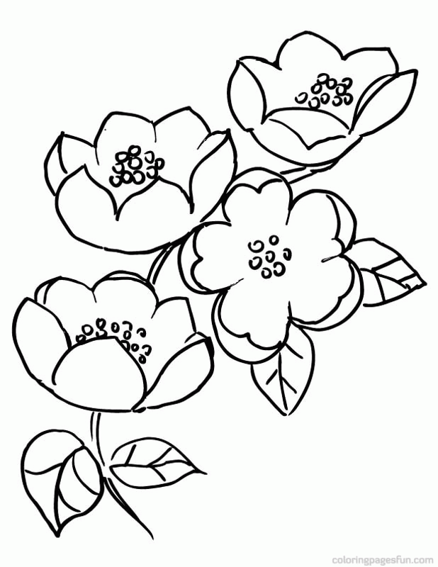 Free Cherry Blossom Coloring Page, Download Free Clip Art ...
