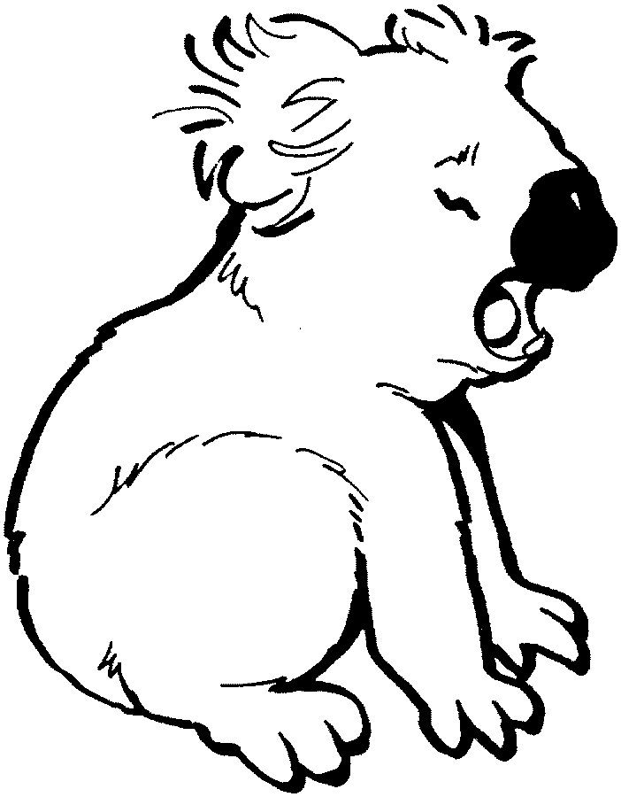 Koala Bears Coloring Pages - Coloring Home