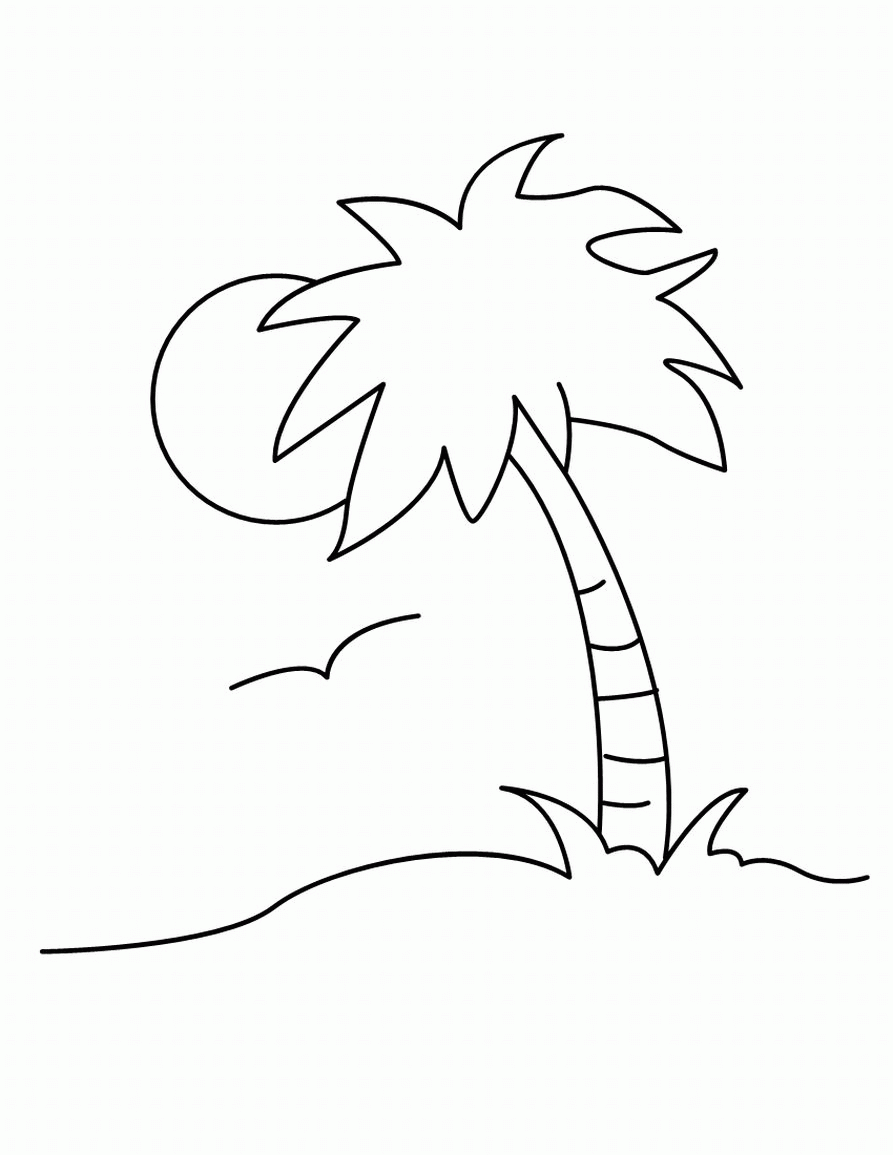 480 Simple Palm Coloring Page with Printable