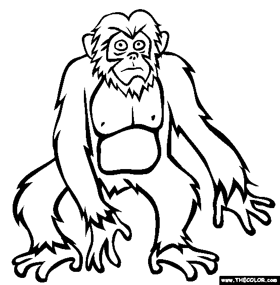 Pretty Bigfoot Coloring Pages Picture - All For You Wallpaper Site