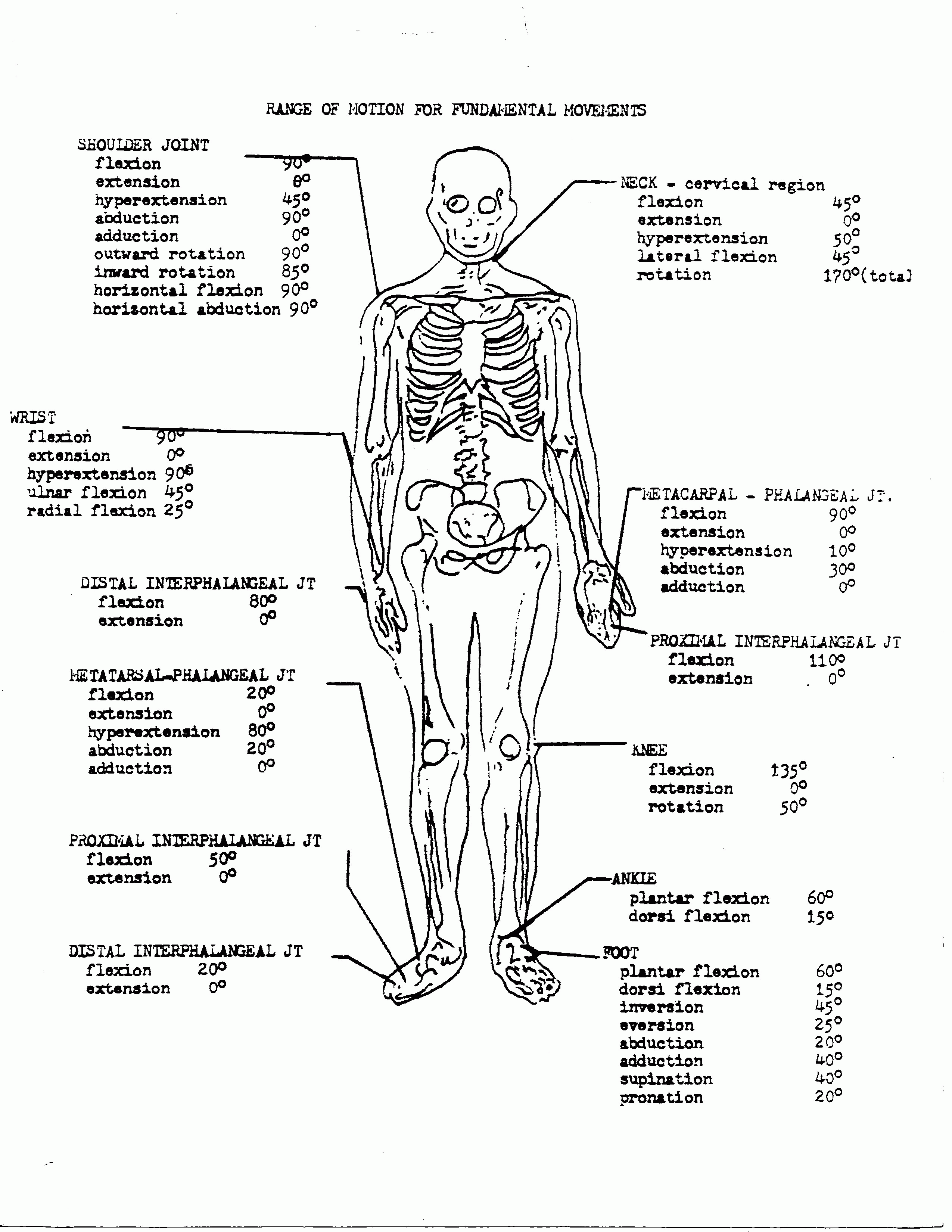 Anatomy And Physiology Coloring Pages Free Coloring Home