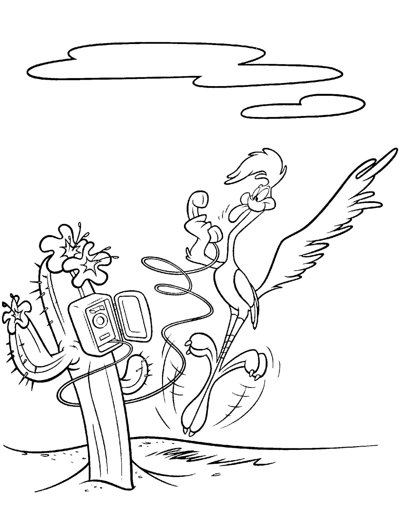 895 Cartoon Roadrunner Coloring Page with Printable