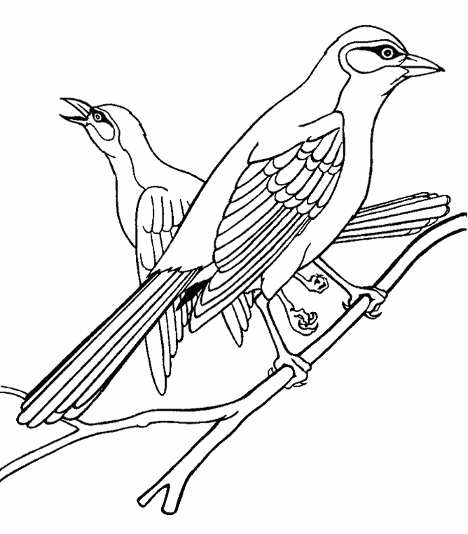 Oriole coloring page - Animals Town - animals color sheet - Oriole  printable coloring