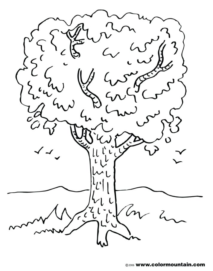 Top 28 Magnificent Fall Tree Coloring Pages My Cup Overflows For ...