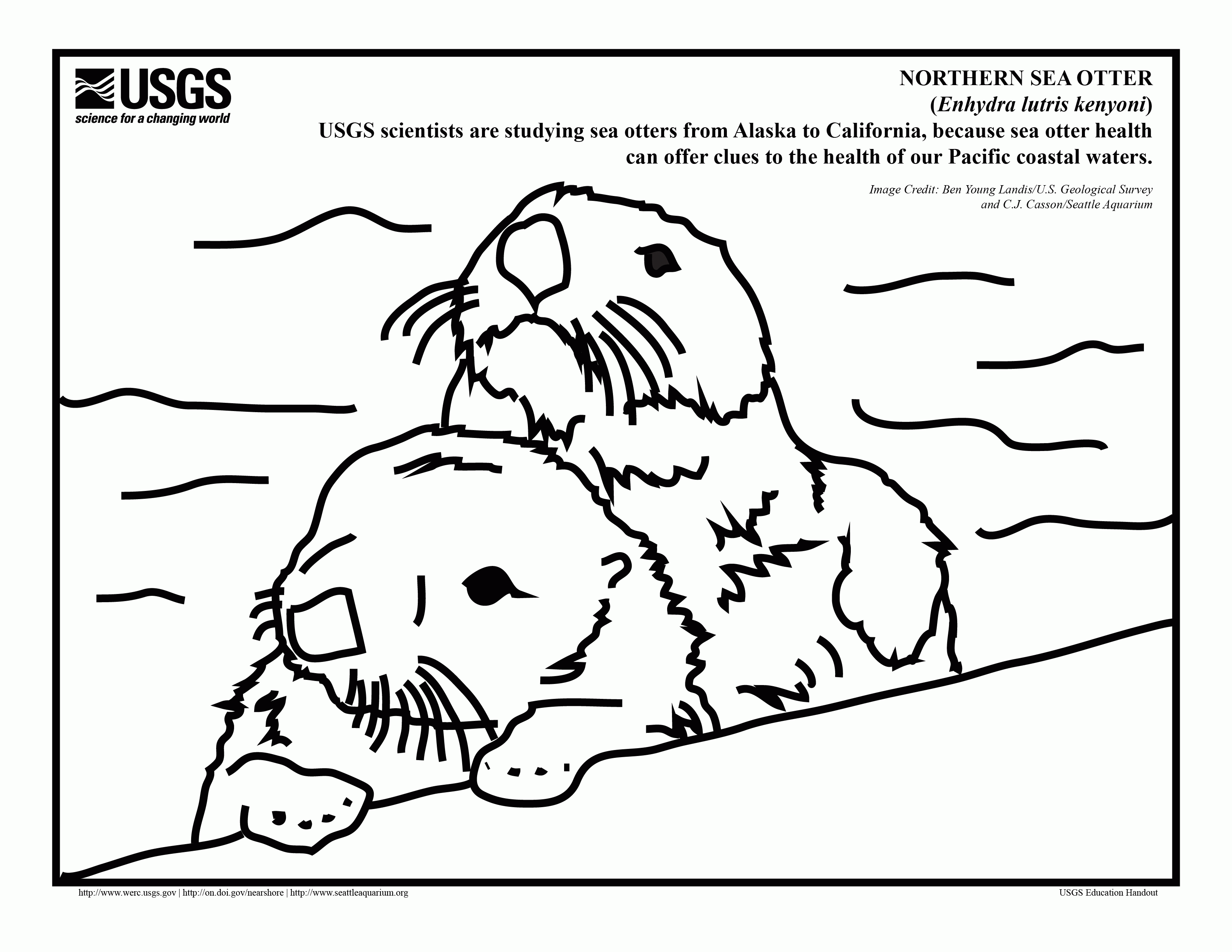 O Is For Otter Coloring Page - Coloring Home