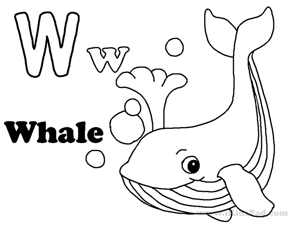 gallery images of w coloring pages w is for whale - VoteForVerde.com
