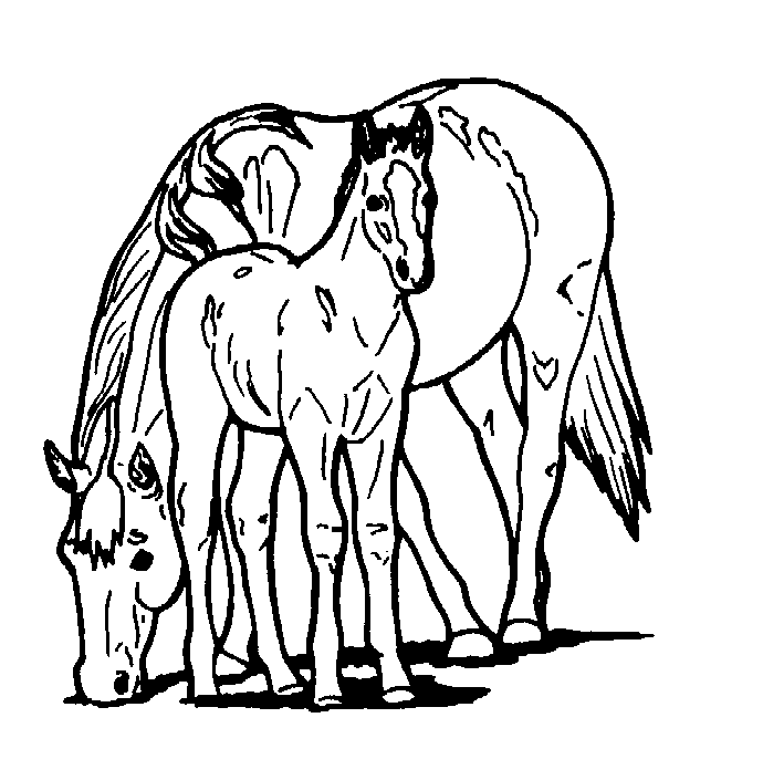 Horse Coloring Pages Printable | Free Coloring Pages
