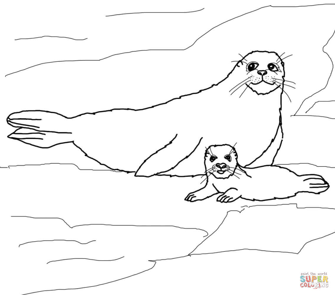 Baby Harp Seal coloring page | Free Printable Coloring Pages