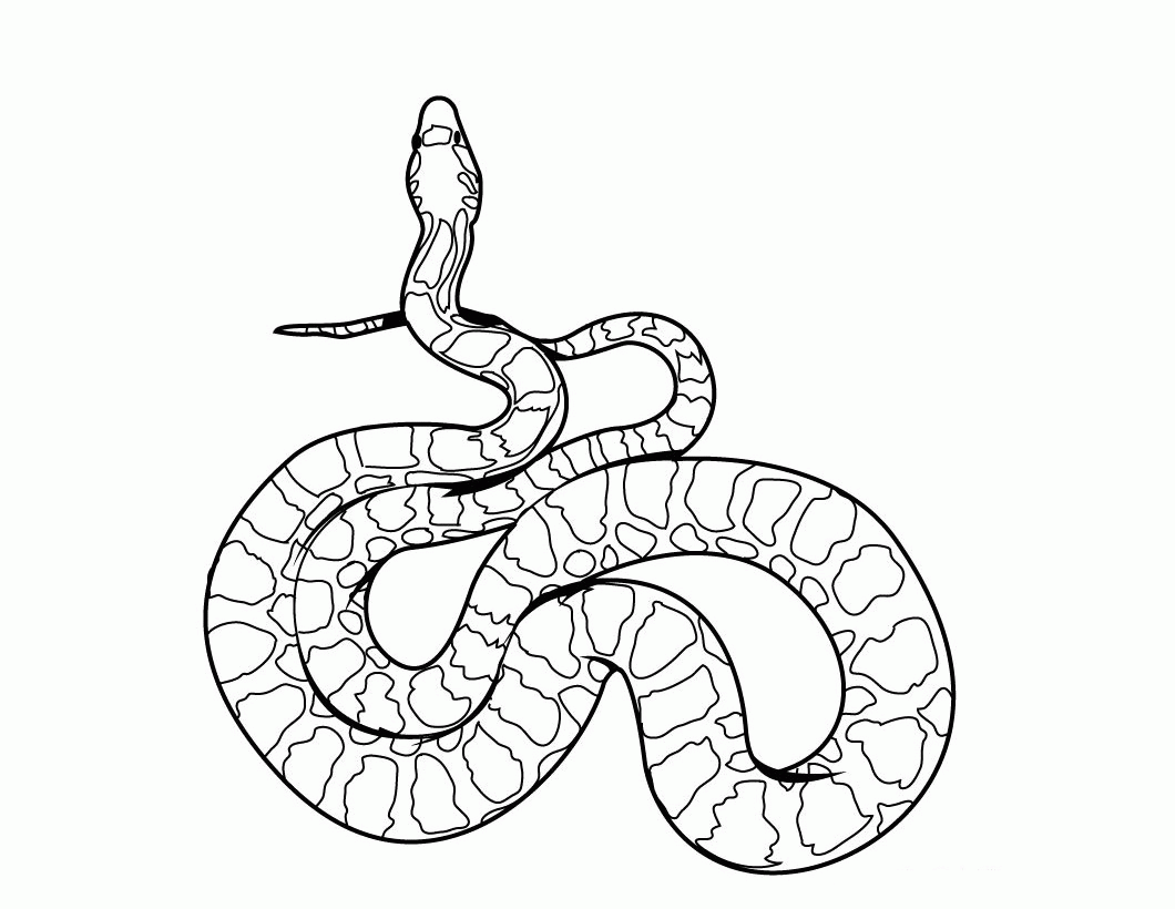 Snake Coloring Pages (20 Pictures) - Colorine.net | 26848