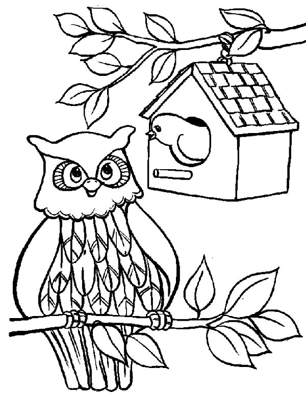 An Owl Bird House Coloring Pages : Best ...pinterest.com