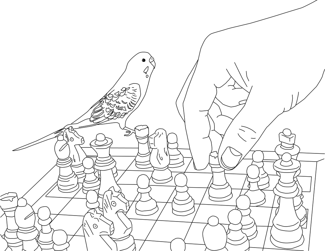 Parakeet Coloring Pages - My Parakeet Clarabelle