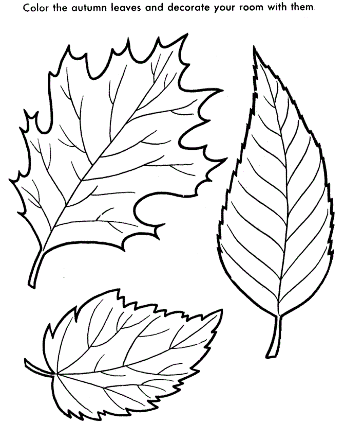 Amazing of Beautiful Pot Leaf Coloring Pages About Leaf C #2139