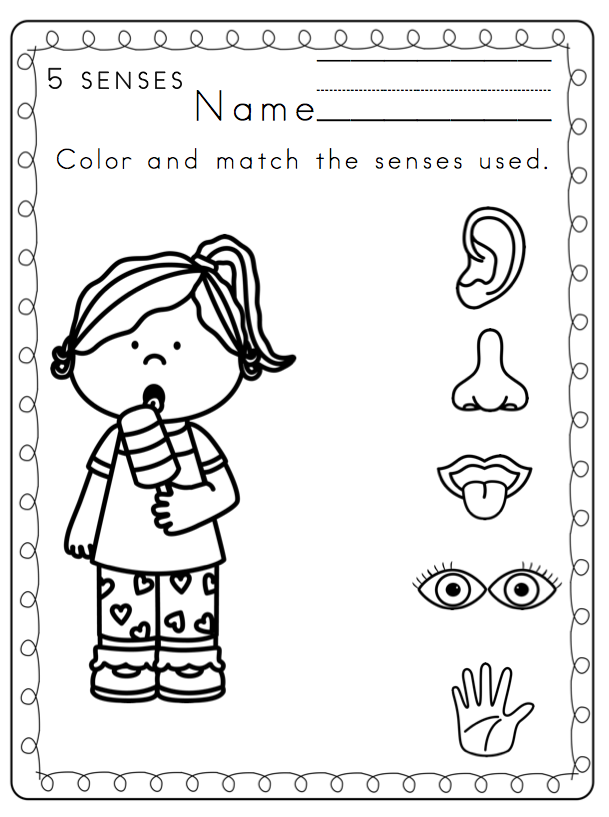 Preschool Printables Toddler 5 Senses Printable Coloring Page