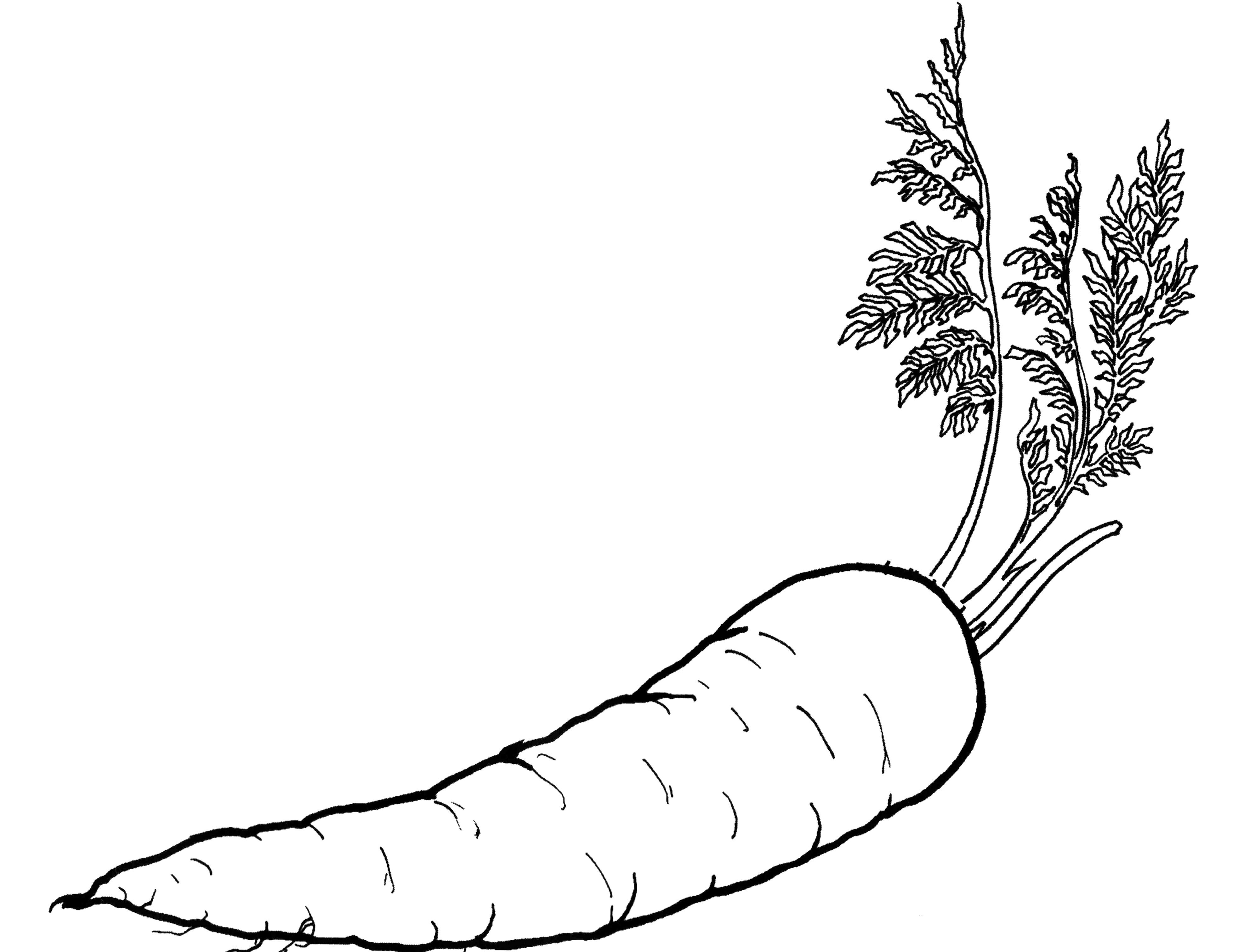 Chinese Vegetable Coloring Page - Coloring Pages For All Ages