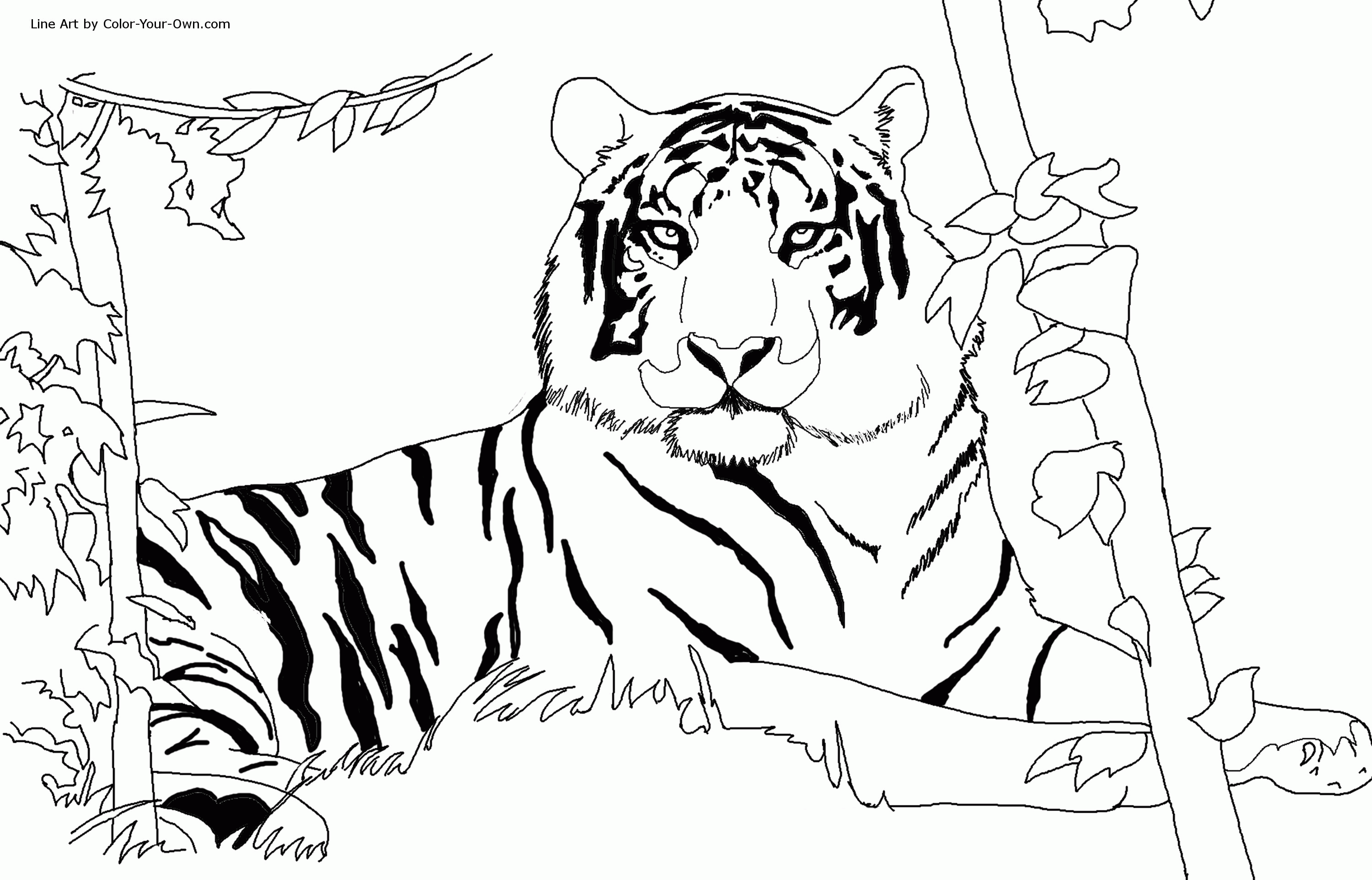 tiger-coloring-pages-free-coloring-home