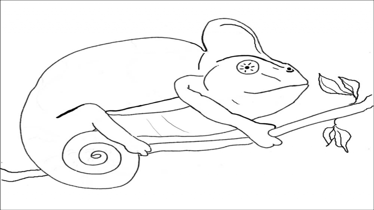 Chamelon Coloring, chameleon coloring pages. Coloring trend ...