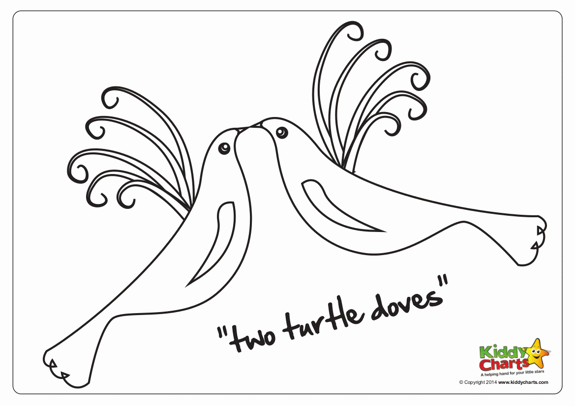 On the second day of Christmas ..... two turtle doves