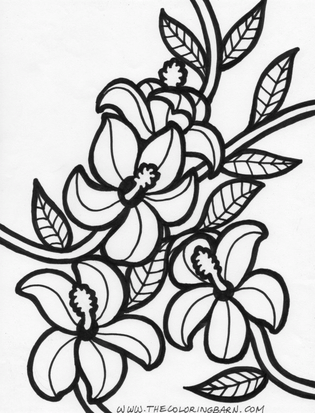 Hawaiian Flowers Coloring Pages | Nucoloring.xyz