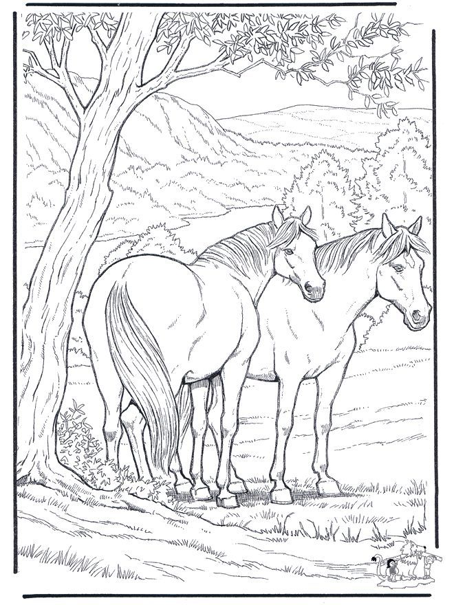 Coloring for adults: Animals | Coloring For Adults ...