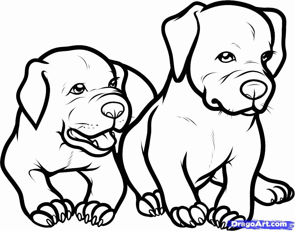 Baby Pitbull Coloring Pages, Baby Puppy Coloring Pages Free ...
