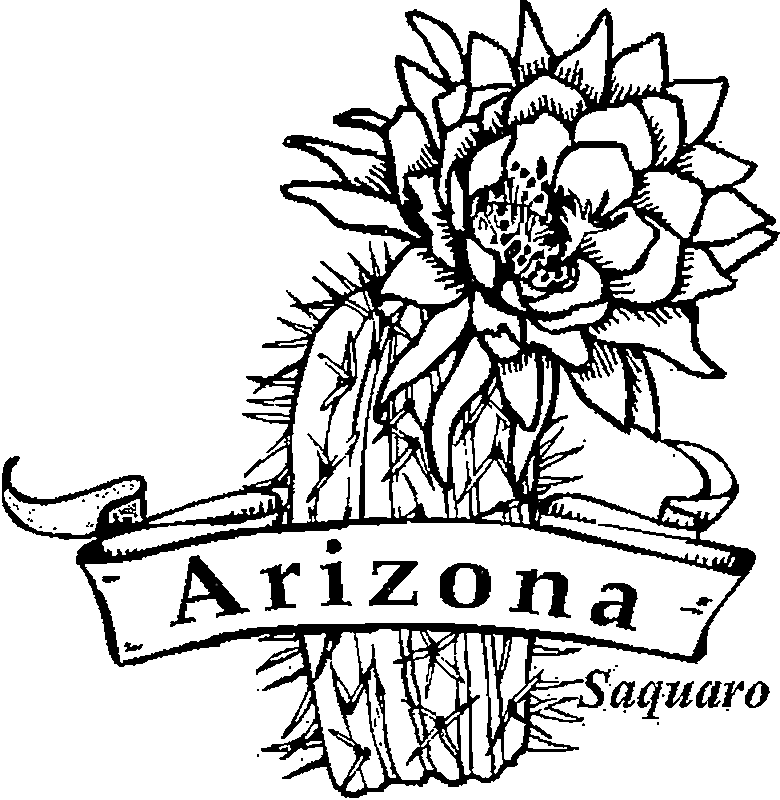 50 States Coloring Page - Ð¡oloring Pages For All Ages