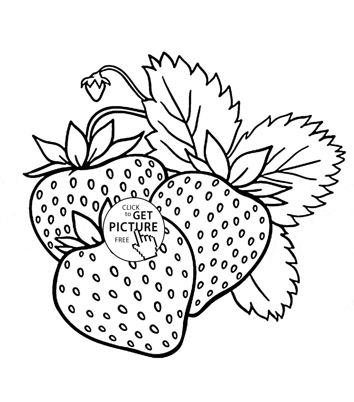 Free Coloring Pages Fruit Coloring Home