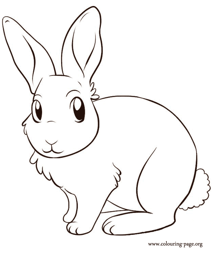 Rabbit Coloring Pages Free Printable | Free Coloring Pages - Coloring Home
