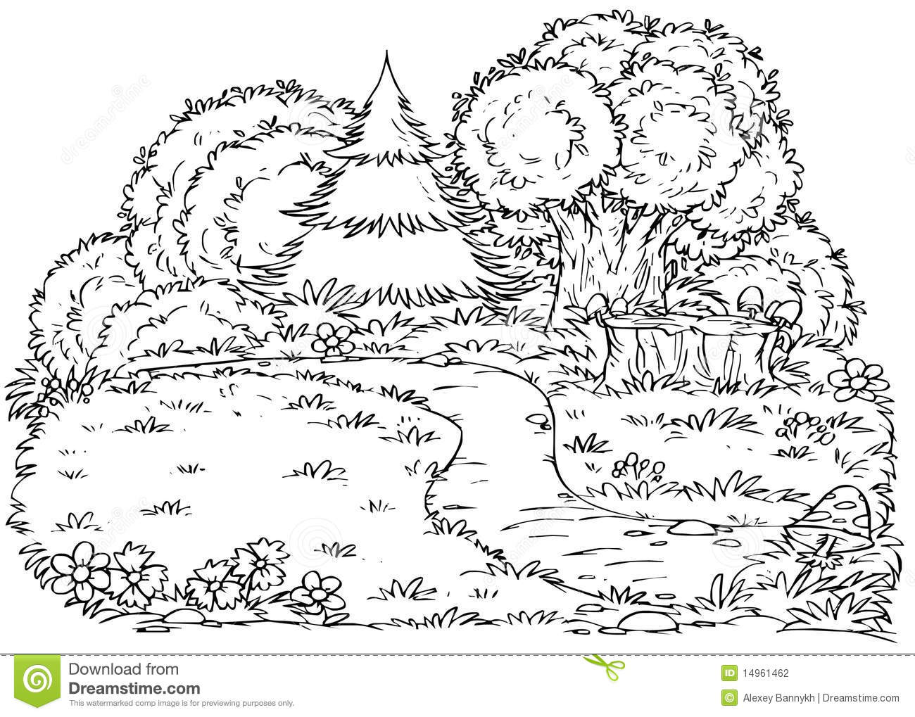 Deciduous Forest Coloring Sheets - High Quality Coloring Pages