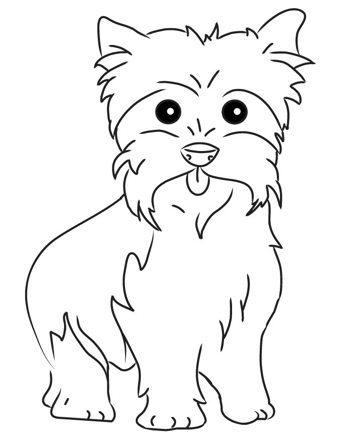 Coloring Pages Of Yorkie Puppies - High Quality Coloring Pages