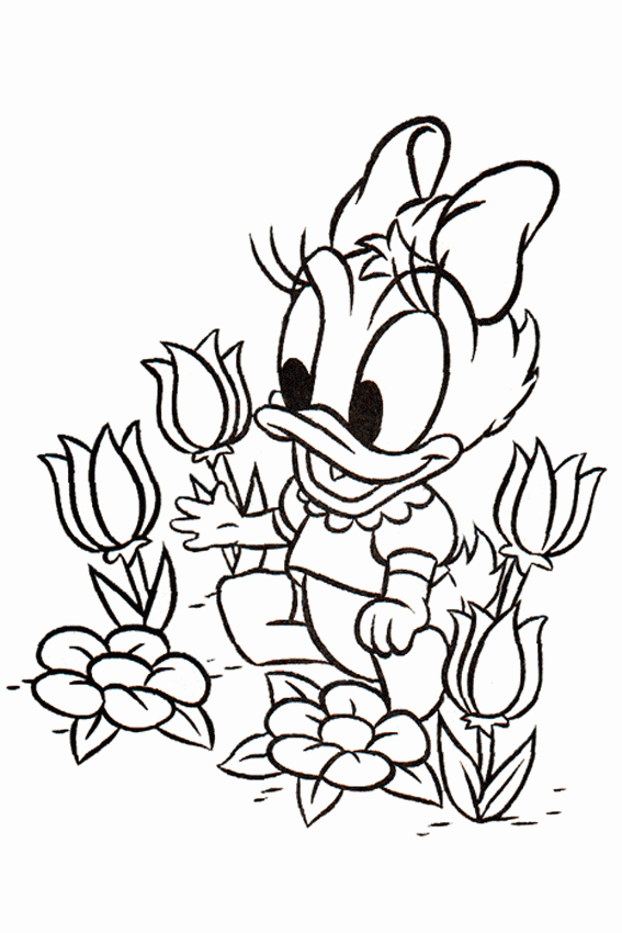 Baby Daisy Duck Coloring Pages - Coloring Page