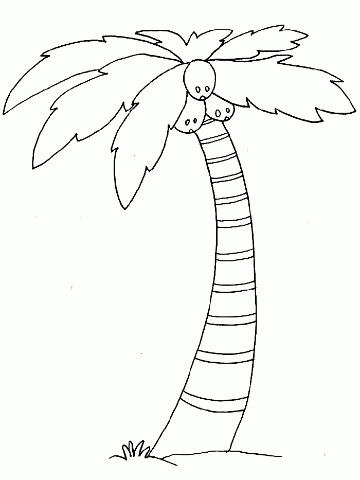 Study New Mexico Tree Coloring Pages Coloring Panda, Preschoolers ...