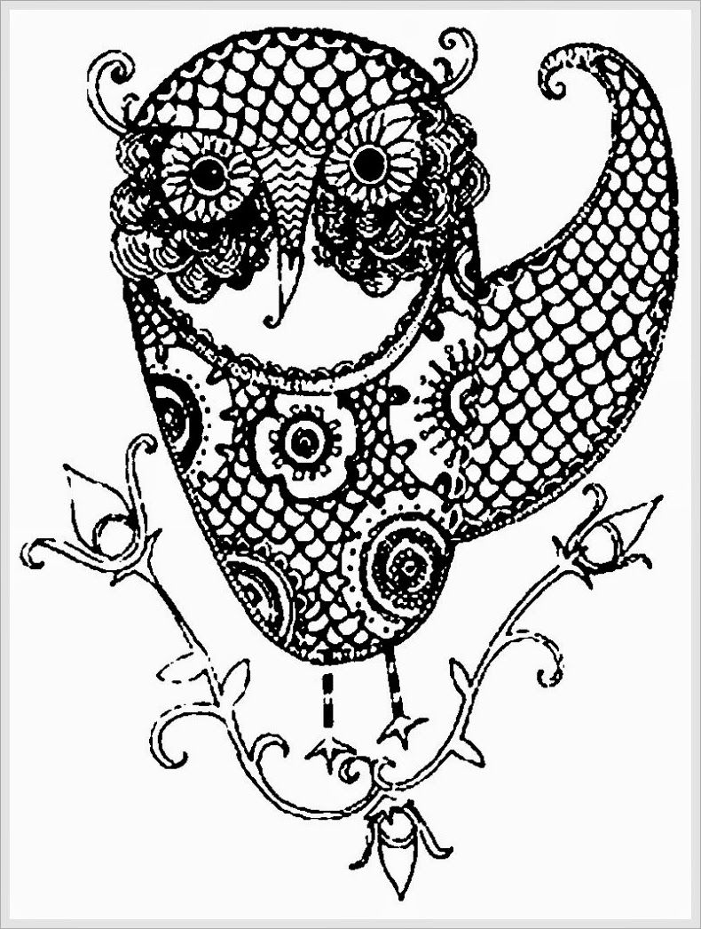 Free Owl Adult Coloring Pages To Print - Coloring Home
