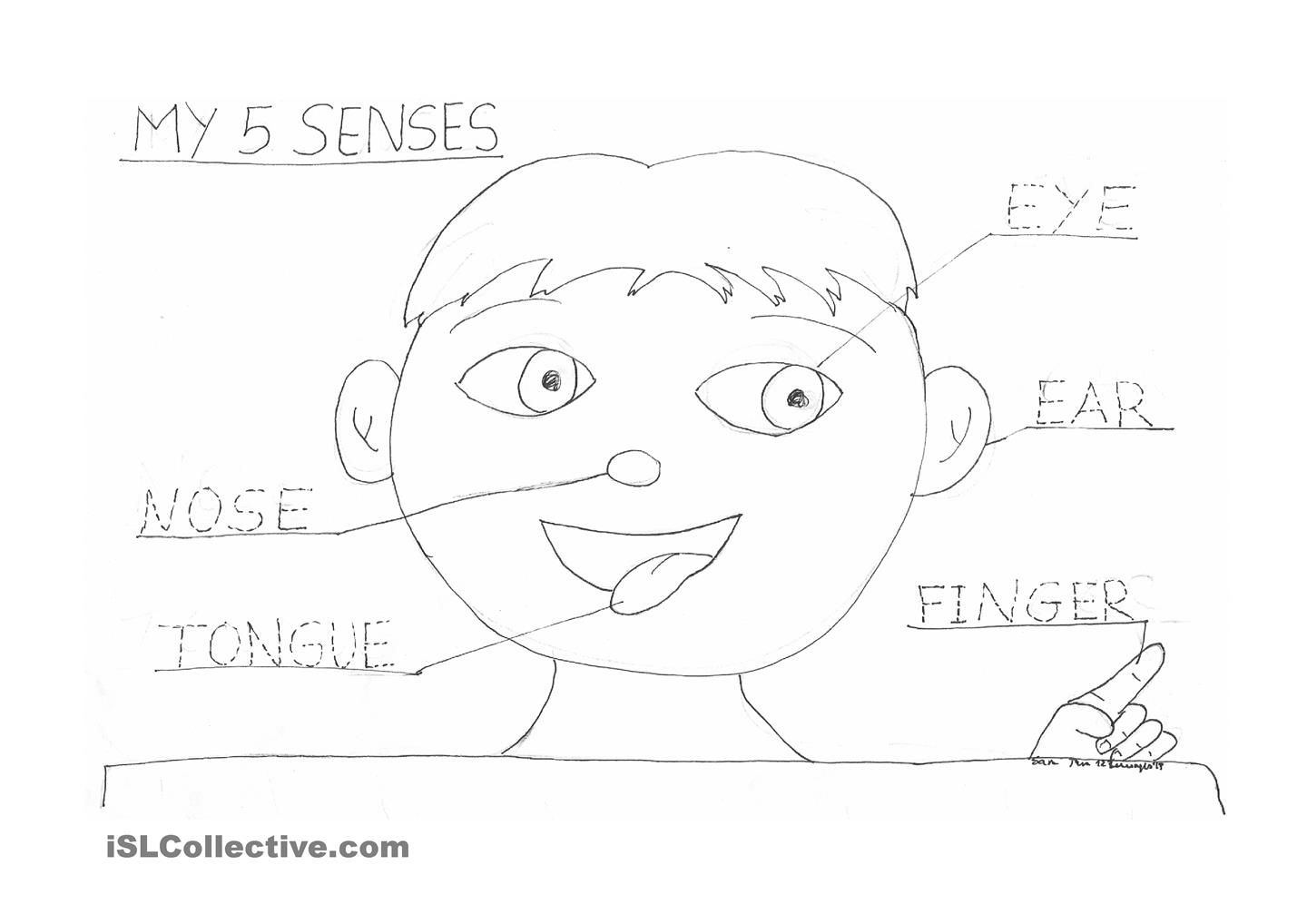 Five Senses Coloring Pages Coloring Home