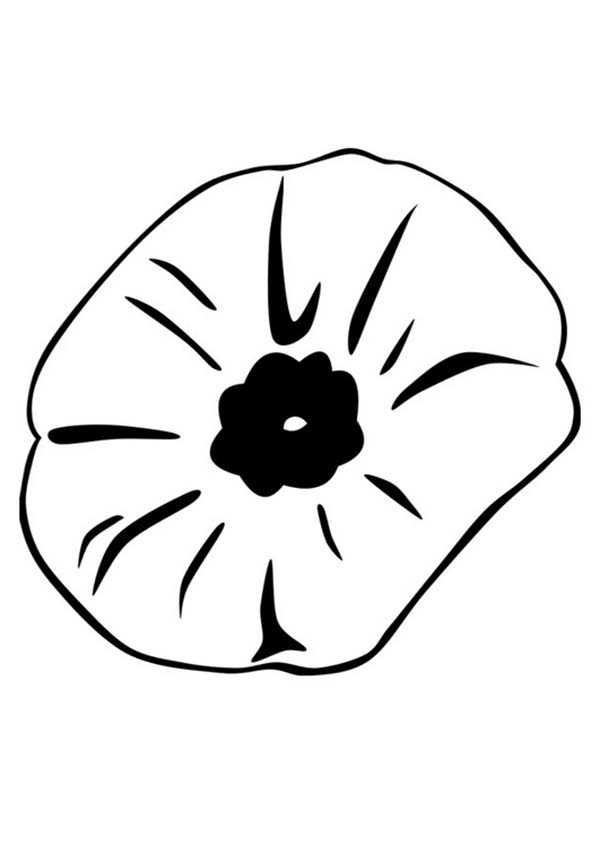 Remembrance Day Poppy Coloring Page Coloring Home