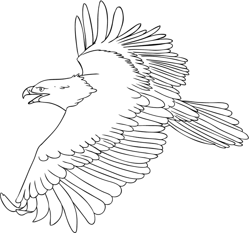 Pictures Of Eagles To Color - Coloring Home