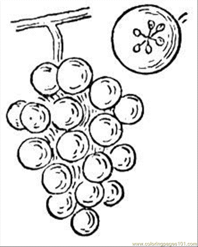 Coloring Pages Grape 12 (Food & Fruits > Grapes) - free printable 