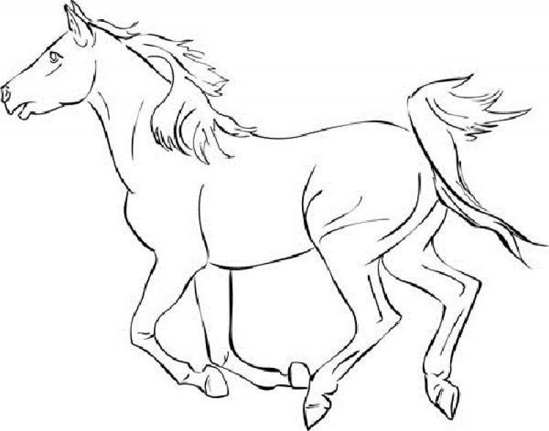 Mustang Horse Coloring Pages - HD Printable Coloring Pages