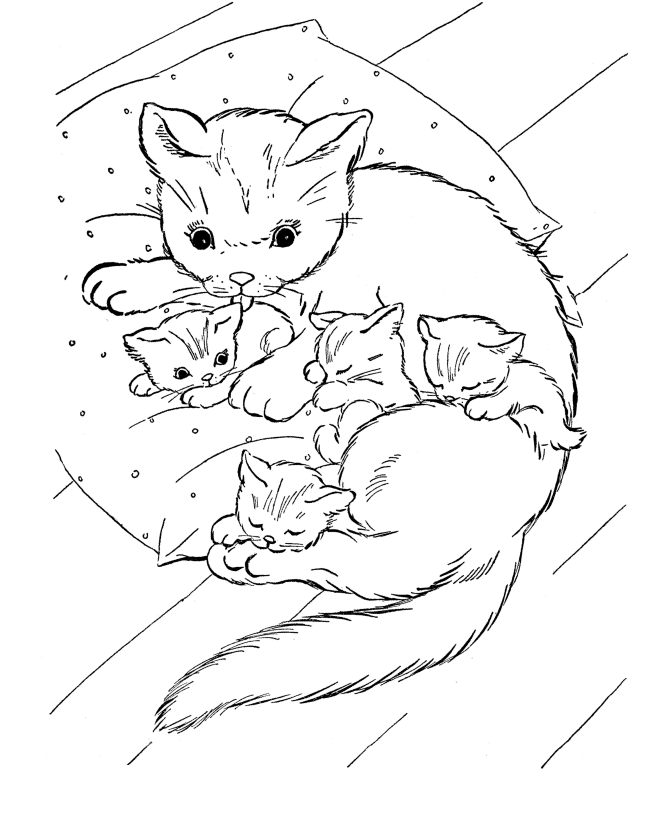 Coloring Pages Of Cats 74 | Free Printable Coloring Pages