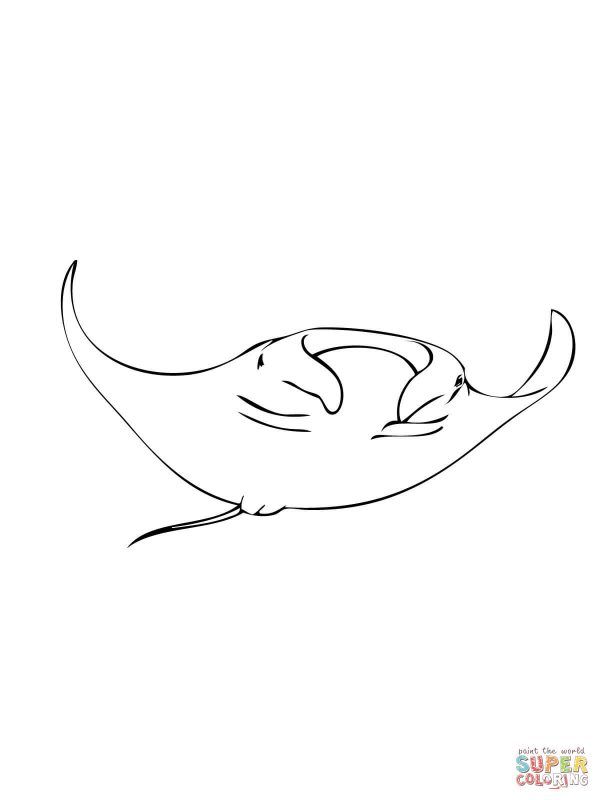Ray Coloring Pages 85 Stingray Coloring Pages Photos. lanith.co ...