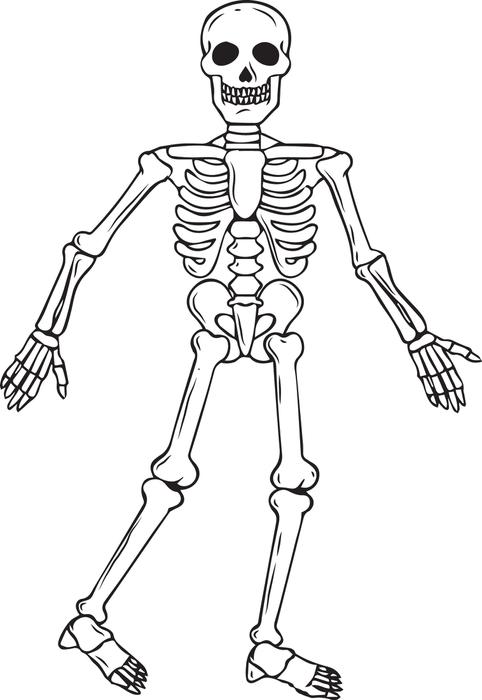 Printable Skeleton Coloring Pages | ColoringMe.com